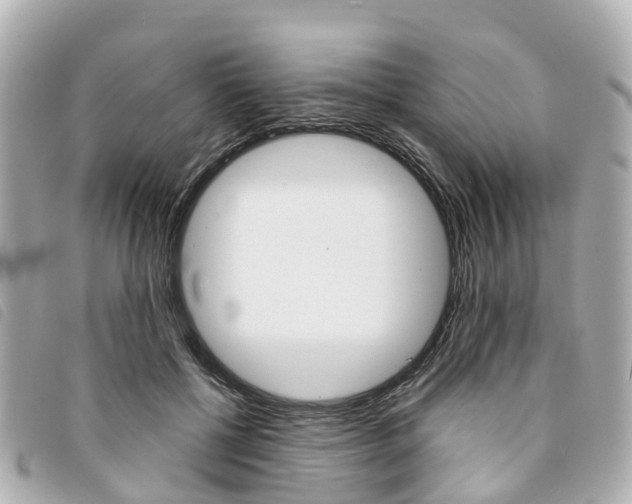 X0000094220552200710260956
