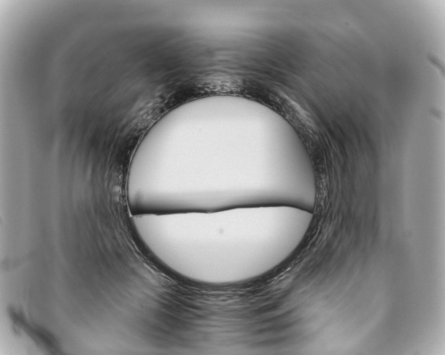 X0000094220553200710260956