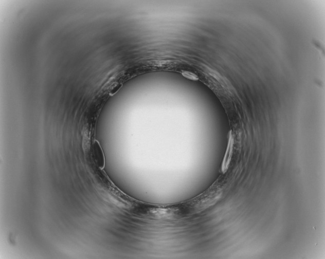 X0000094220558200710260956
