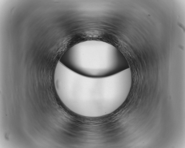 X0000094220559200710260956