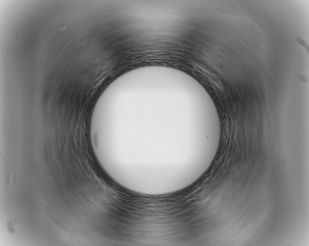 X0000094220560200710260956