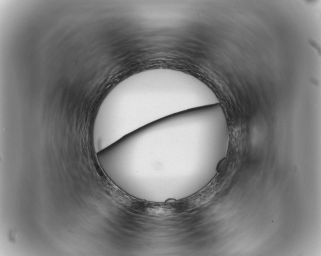 X0000094220561200710260956