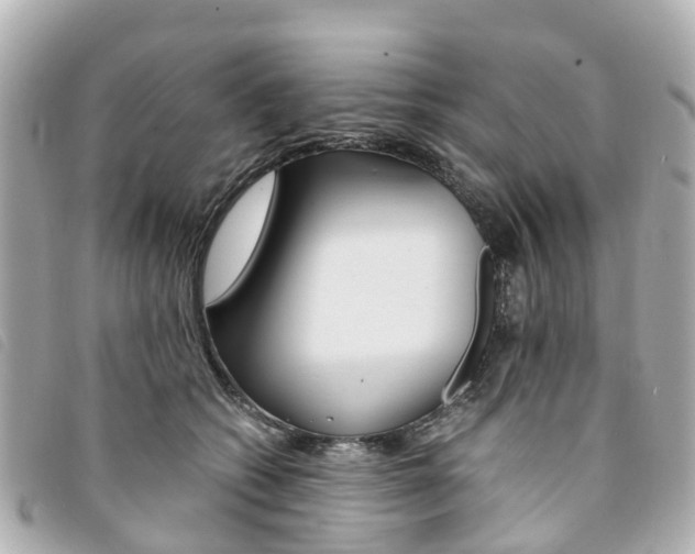 X0000094220562200710260956
