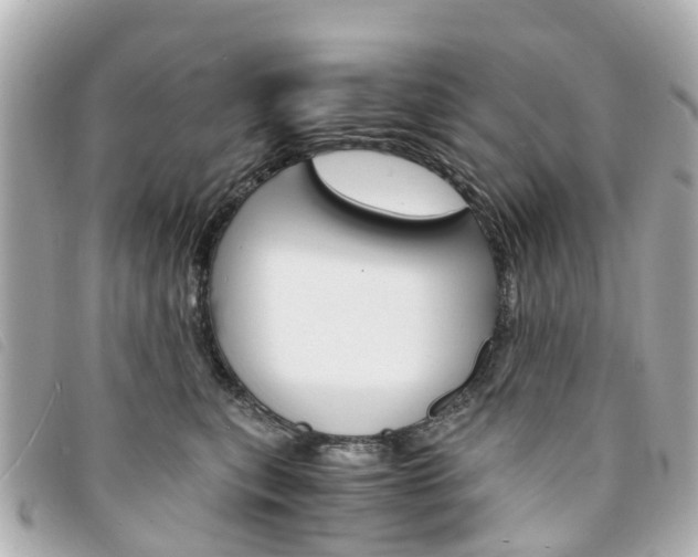 X0000094220567200710260956