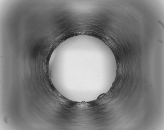 X0000094220569200710260956