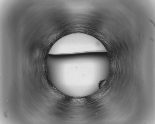 X0000094220571200710260956