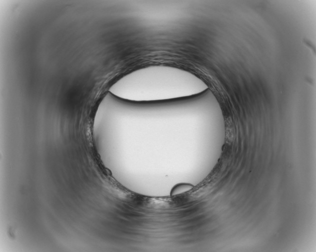 X0000094220573200710260956