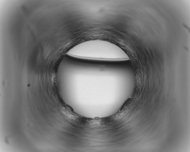 X0000094220574200710260956