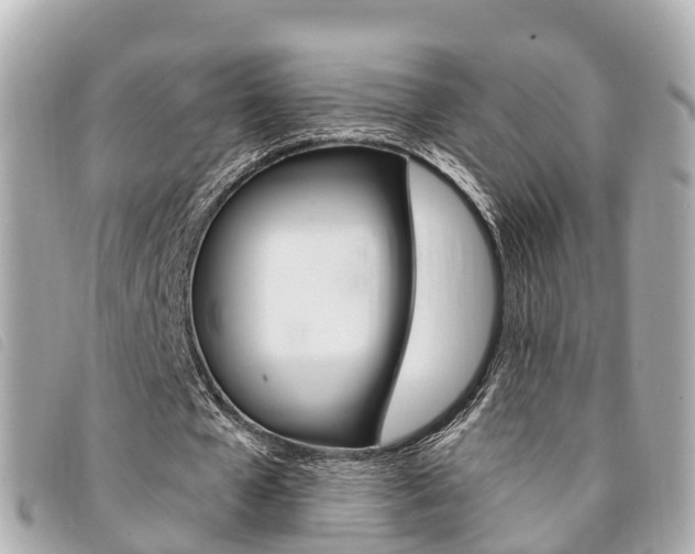 X0000094220577200710260955