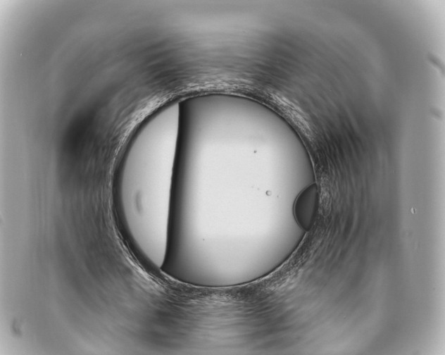 X0000094220578200710260955