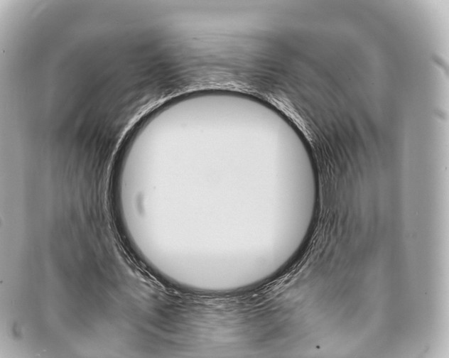 X0000094220579200710260955