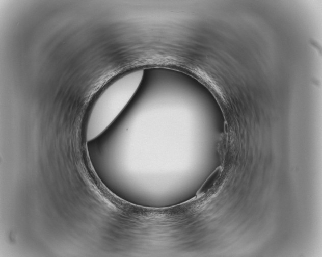 X0000094220581200710260955