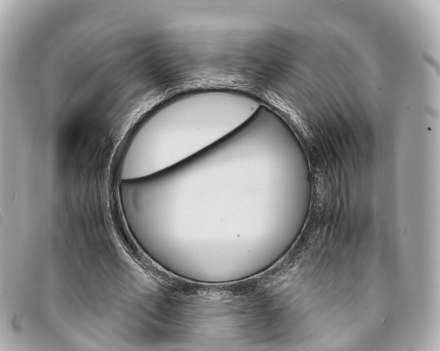 X0000094220582200710260955