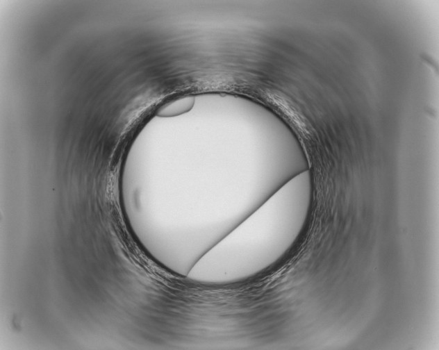 X0000094220583200710260955