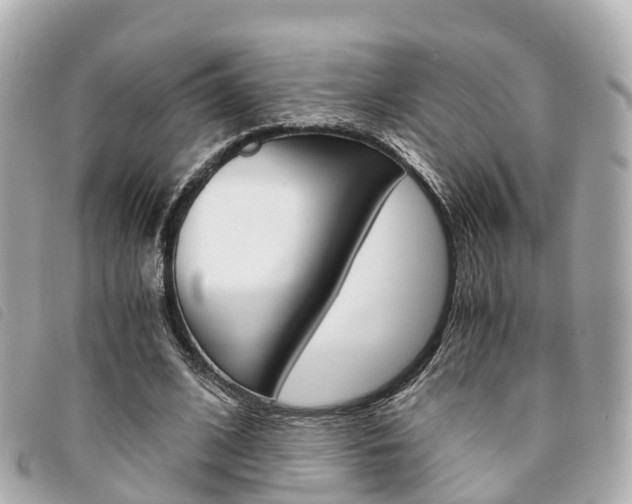 X0000094220584200710260955