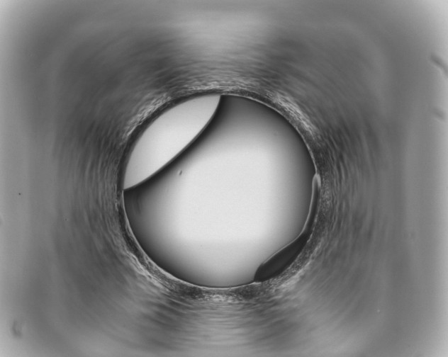 X0000094220585200710260955