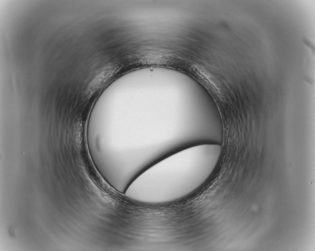 X0000094220586200710260955