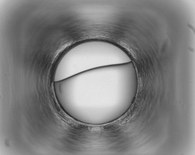 X0000094220587200710260955