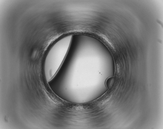X0000094220588200710260955