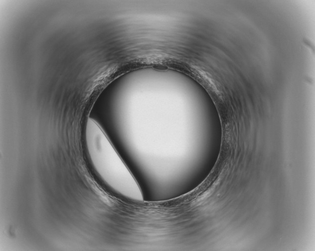 X0000094220589200710260955