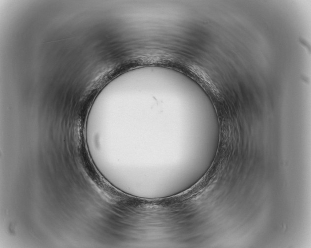 X0000094220590200710260955