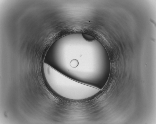 X0000094220593200710260955