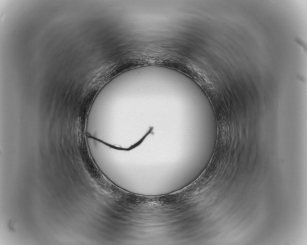 X0000094220594200710260955