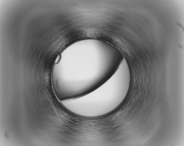 X0000094220595200710260955