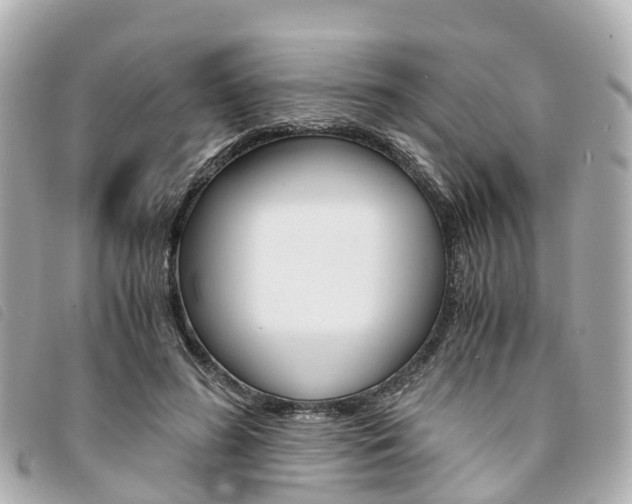 X0000094220596200710260955