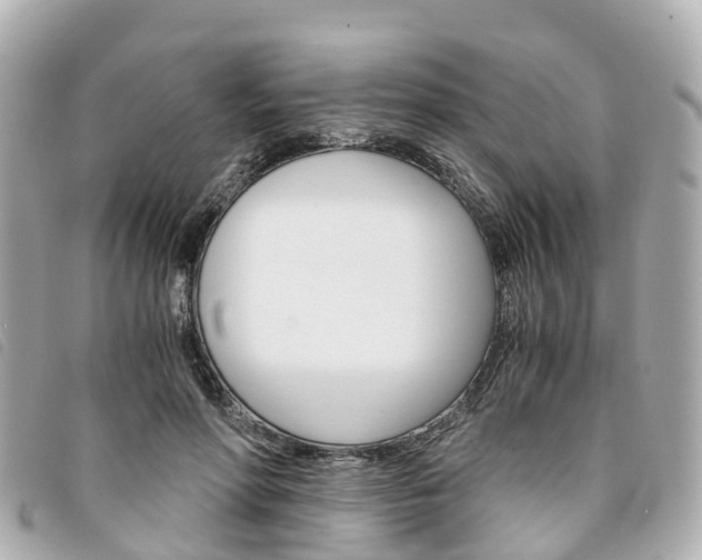 X0000094220598200710260955