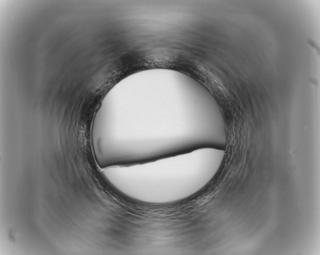 X0000094220599200710260955