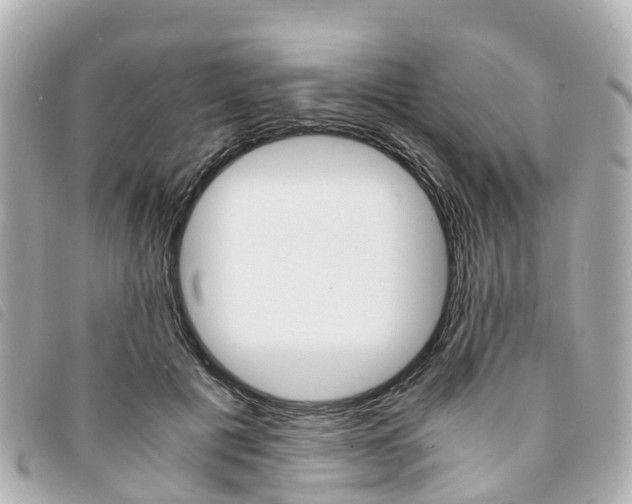 X0000094220601200710260955