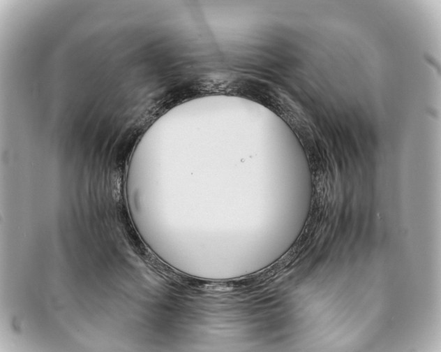 X0000094220602200710260955