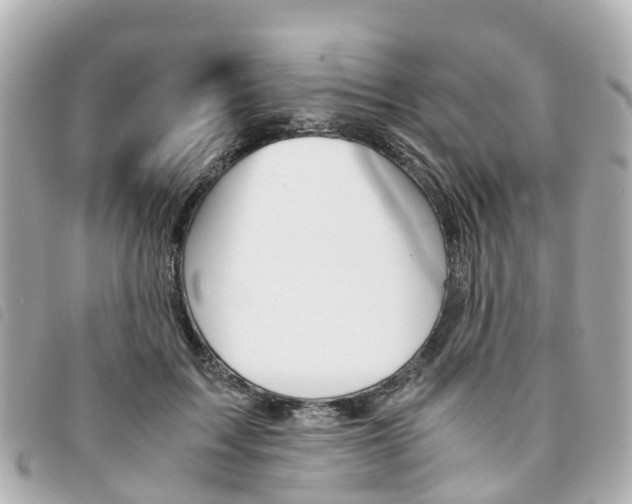 X0000094220603200710260955