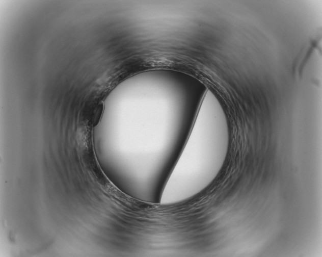 X0000094220604200710260955