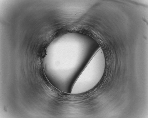 X0000094220605200710260955