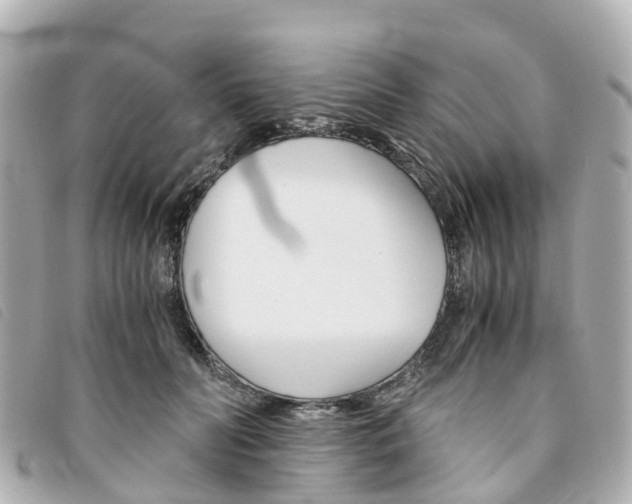X0000094220606200710260955