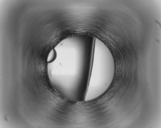 X0000094220608200710260955