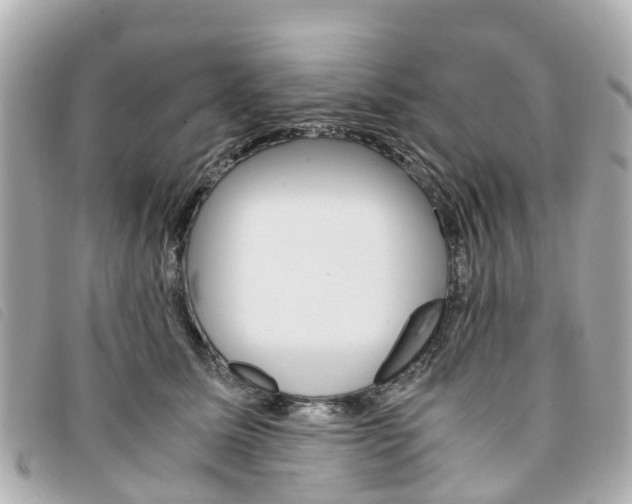 X0000094220611200710260955