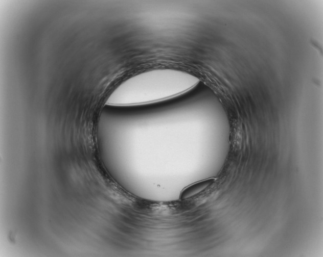 X0000094220616200710260955