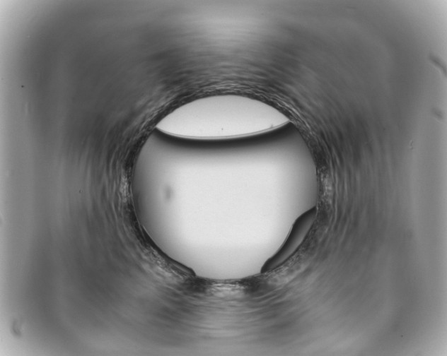 X0000094220617200710260955