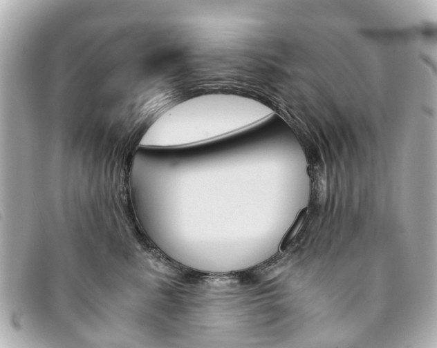 X0000094220619200710260955
