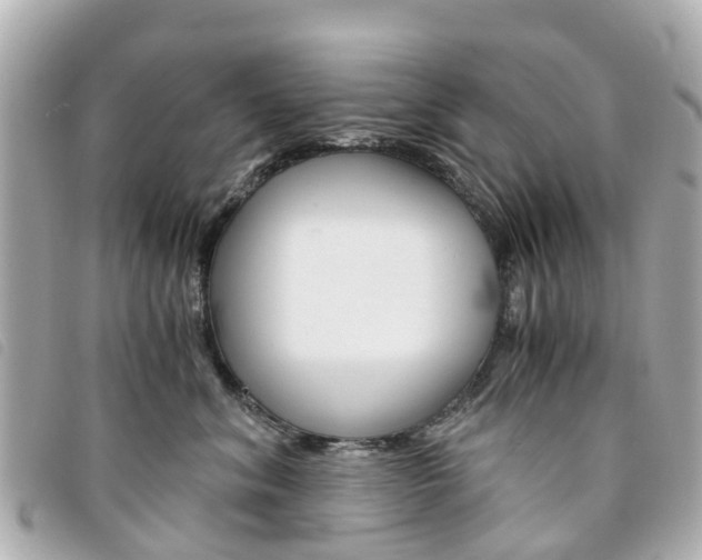 X0000094220620200710260955