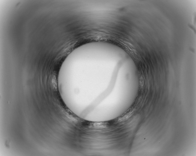 X0000094220622200710260955