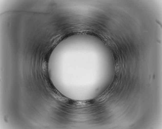 X0000094220623200710260955