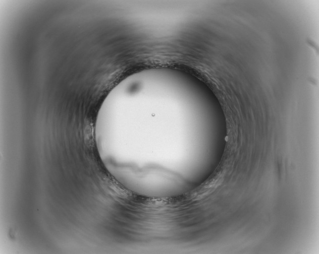 X0000094220624200710260955