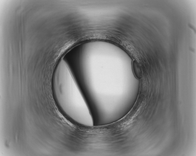 X0000094220625200710260954
