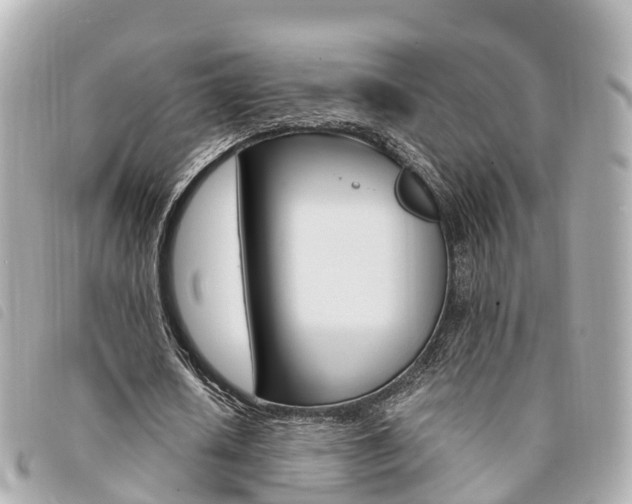 X0000094220626200710260954