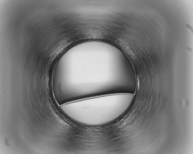 X0000094220627200710260954