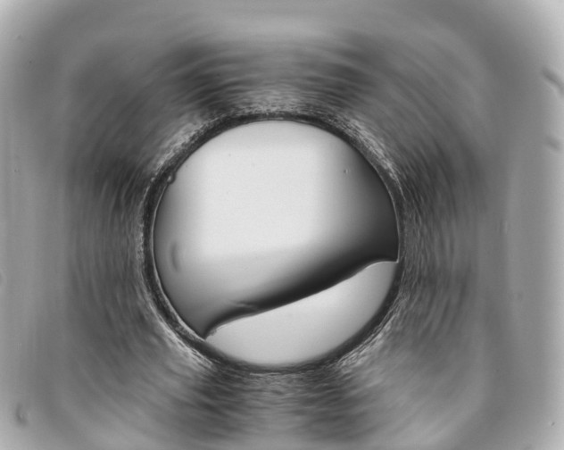 X0000094220629200710260954